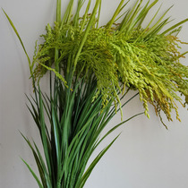 Green emulated rice grain silk flower fake wheat ear rice plastic flower barley wheat rice dining room for laying flowers