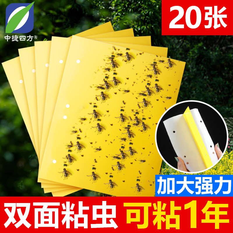 Yellow plate double-sided viscosa plate paste yellow fly small black fly trap cache
