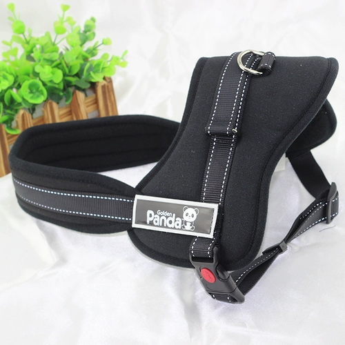 Golden Golda Gold Panda K8 Pet Grap Brap