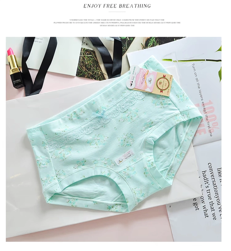 Billion darling lady solid color hoa trung eo nơ đơn giản đồ lót tam giác cotton đồ lót chính hãng 8632