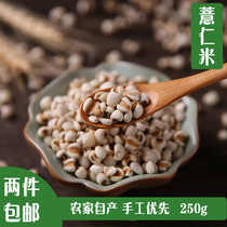 Two pieces of Guizhou High-quality Barley and Coix Seed Coix Seed Yiren Tea Whole Grains 250g