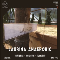 Rare Varieties Columbia Holy Farm Natural Low Cause Pointy Bourbon Anaerobic Sunshine 100g