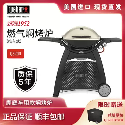 American weberQ3200 outdoor grill smokeless gas braised oven household gas grill barbecue grill