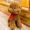 Teddy dog ​​đồ chơi sang trọng Mô phỏng búp bê nhỏ giả chó dễ thương búp bê giường dễ thương - Đồ chơi mềm