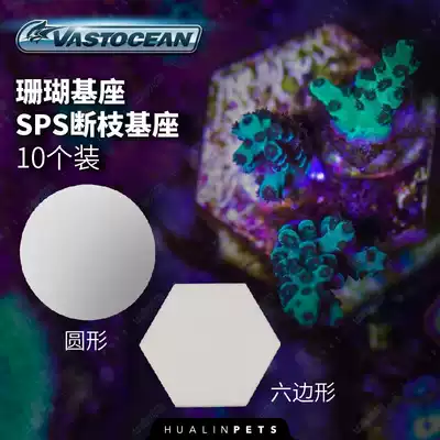 Seawater fish Seawater coral Branch breaking seat Limb breaking seat Button base Coral base Breeding bracket Coral tray