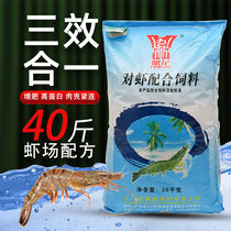 Shrimp Feed Shrimp Grain South American White Prawn Stock Roche Shrimp Ornamental Shrimp Farming High Protein Shrimp Matching Feed Sinking Grain