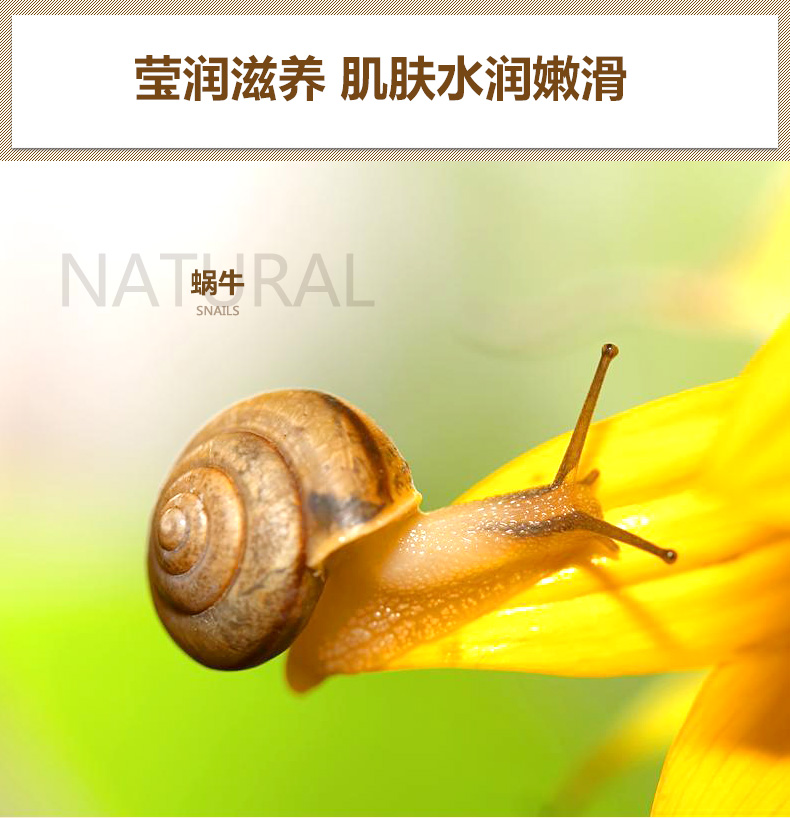 泉 Ốc sên làm trắng da mặt làm đẹp thu nhỏ lỗ chân lông ban đầu dạng lỏng dưỡng ẩm làm sáng da vết thâm tinh chất rau má 1004