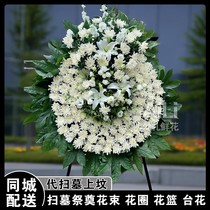 Гробницы Hellow White Hellow White Chrysanthemum Baquet of flowers Zhengzhou Kaifeng Kaifeng City of Tongcheng Flower Shop в Луоян Пиндиншан