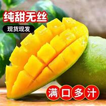 9 catties Vietnamese green mango fruit mango fresh fresh seasonal green mango