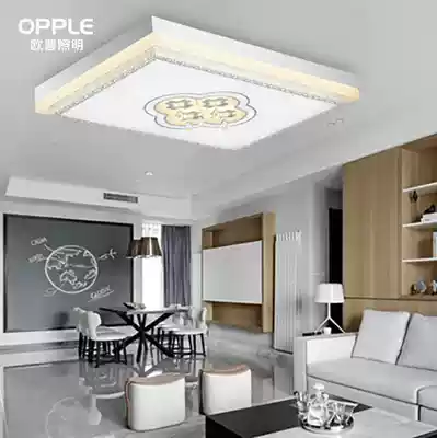 Opal Lighting ceiling lamp MX550A-D0 2X208T D0 5WX54T-Mirror Flower Dance