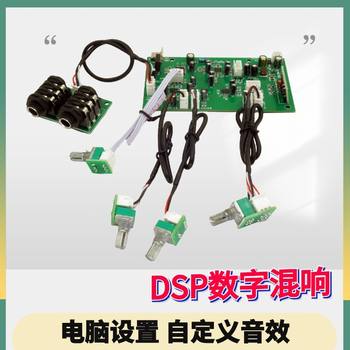 Dsp Reverb Karaoke Preamp Microphone Amplifier Delay Excitation Vocal Effect Heavy Bass Tuning Board