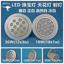 led jewelry lamp 12*3W ceiling lamp 36W18W track light normal white warm white cold white light super bright spotlight