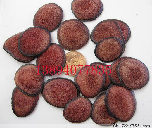 Jilin Breeding Sika Deer Antler Blood Slices Deer Antler Slices (High Density) 58 yuan per gram