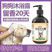 Dog body lotion Bath Terrace Teddy Special Deodorant Anti-Itchy Insect Mite Persistent fragrant gold wool General bath Supplies