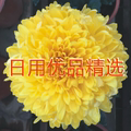 日用优品精选的LOGO