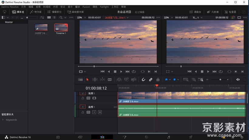 达芬奇调色剪辑软件-DaVinci Resolve Studio 16.2.3.15 Win/Mac 中文版英文版