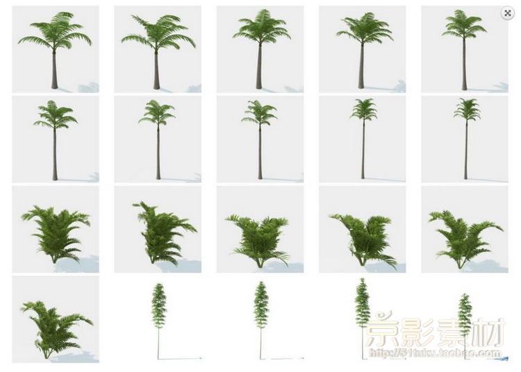 HQ Palms 1 for C4D-280个海岛风情树种C4D模型Cinema 4D模型