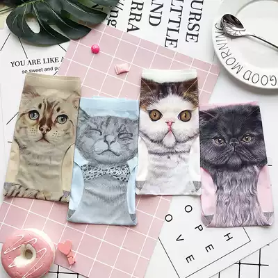 Anti-light cute sketch cat cat panties one piece of ice silk seamless underwear women