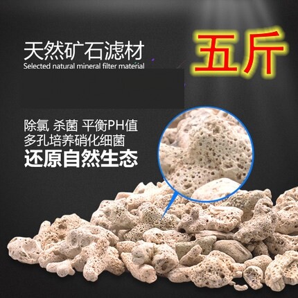 Fish tank fish aquarium bacteria filter material broken coral bone coral sand coral sand sand purified water filter water living stone