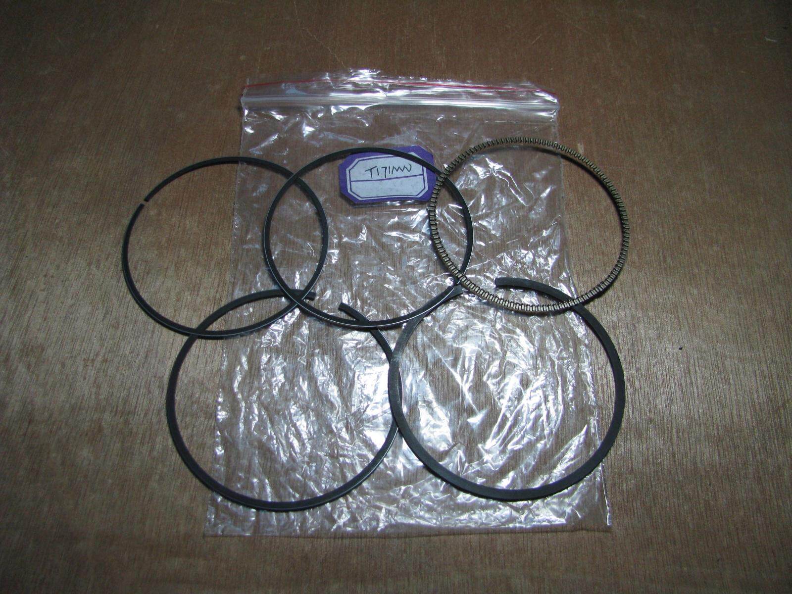 Jinan Light Ride Pedal ATV Water Cooling 300 Piston Ring (T171)