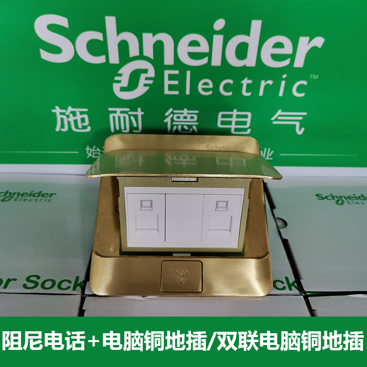 Schneider E220 damping phone computer dual-coupling computer socket network socket socket