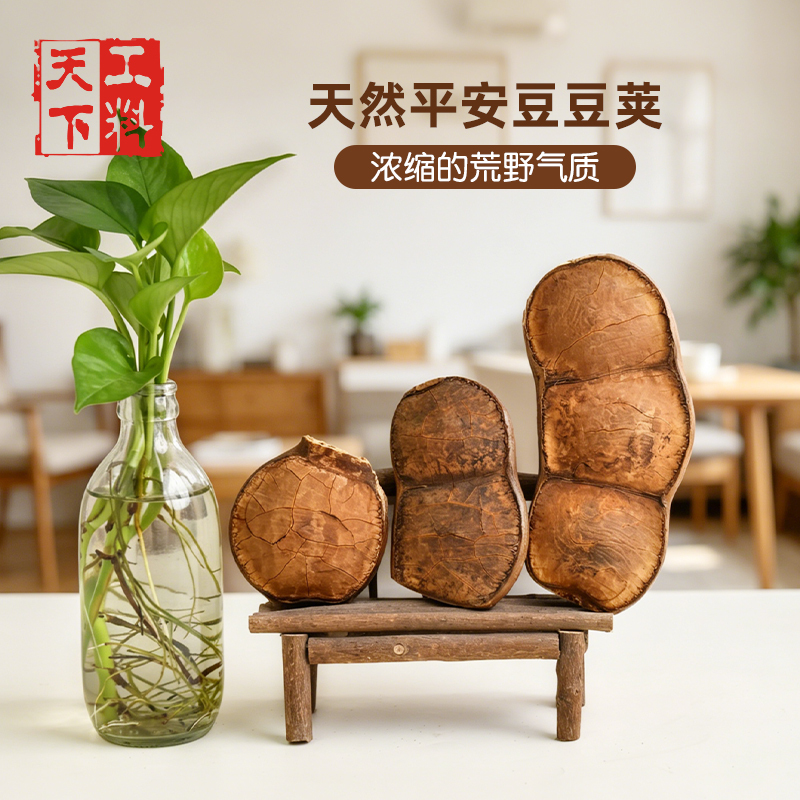 Natural Plant Specimens of the Rattan Bean Pod from Gongiao World, DIY Handmade Materials, Home Space Decoration Pendants Natural Plant Specimens of the Rattan Bean Pod from Gongiao World, DIY Handmade Materials, Home Space Decoration Pendants