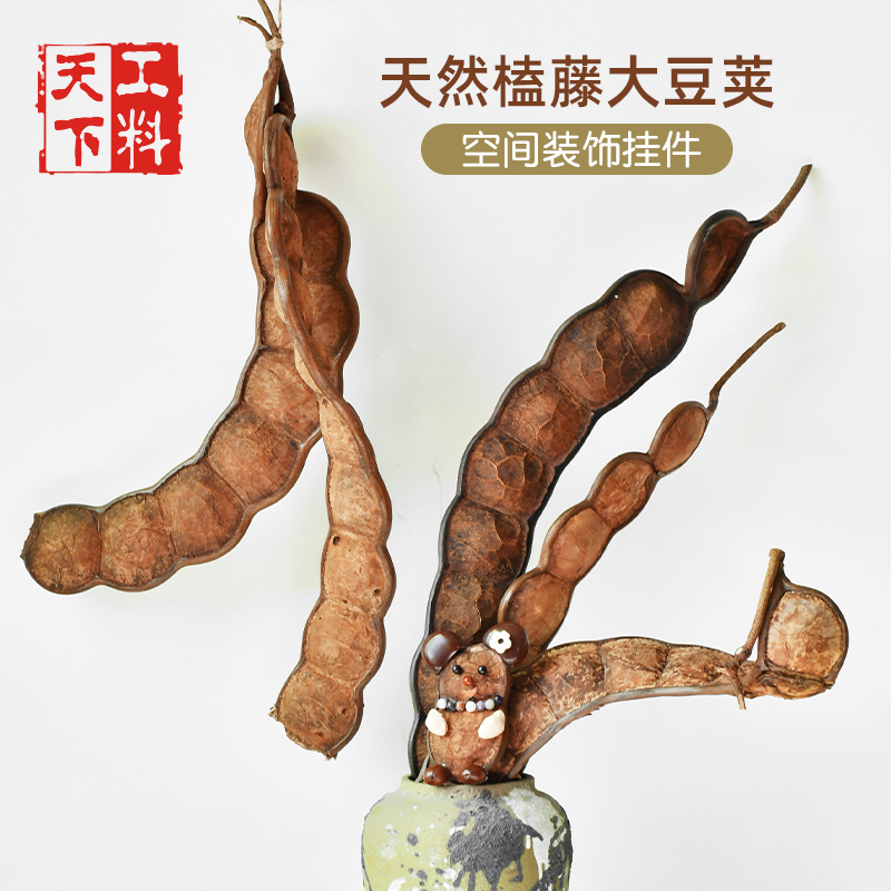 Handmade Pendant Made from Plant Specimens of the Rattan Bean Pod, DIY Handicraft for Space Decoration and Hanging