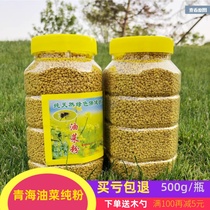 Qinghai Huile végétale Fleur Poudre Ferme fraîchement Eaten Viol naturel Poudre Bee Pollen Grain Homme 500 gr Non cassée