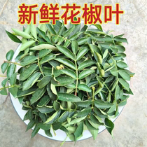 Seasonal pepper leaves fresh edible pepper leaves buds and wild vegetables. Shandong farmers pick fresh pepper buds and leaves.