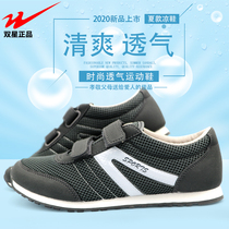 Twin Star Celebrity Sneakers Running Shoes Magic Sticker Casual Shoes Ultra Light Net Face Breathable Sneakers 527