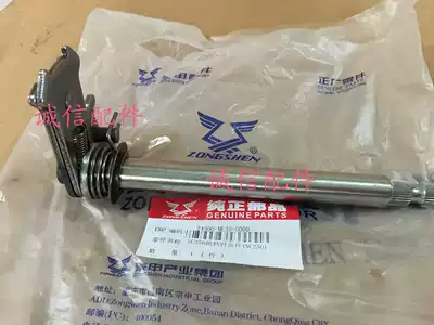 Integrity accessories Zongshen (RX3)ZS250GY-3 NC250 shift arm Spring