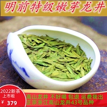Min Top 2022 New Tea Longjing Zhejiang Shengzhou Yuxiang High Alpine Special Grade 43 Green Tea Tea Tea 250g canned