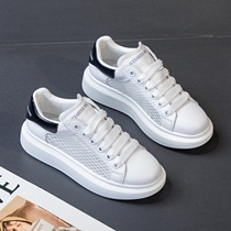 Small ckerwin break the dull enough to shine to attract eyes ~ effortless thin