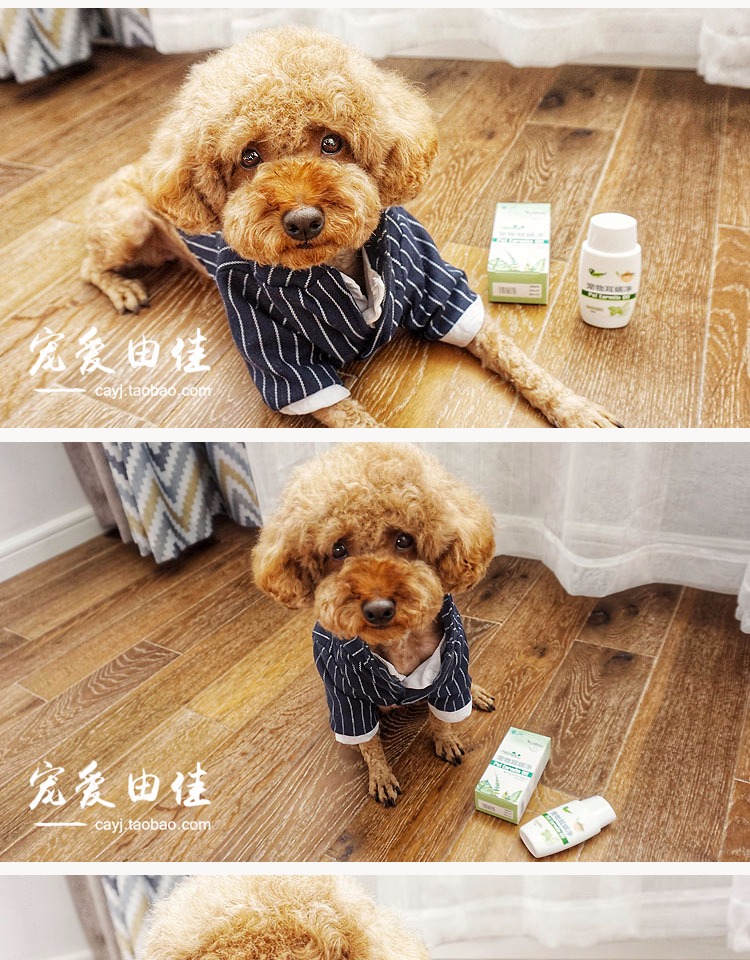 Tai của thiên thần đờm net teddy vàng tóc tai giọt tai đờm y học pet dog dog vẻ đẹp tai sản phẩm làm sạch Lược chải lông FURminator.