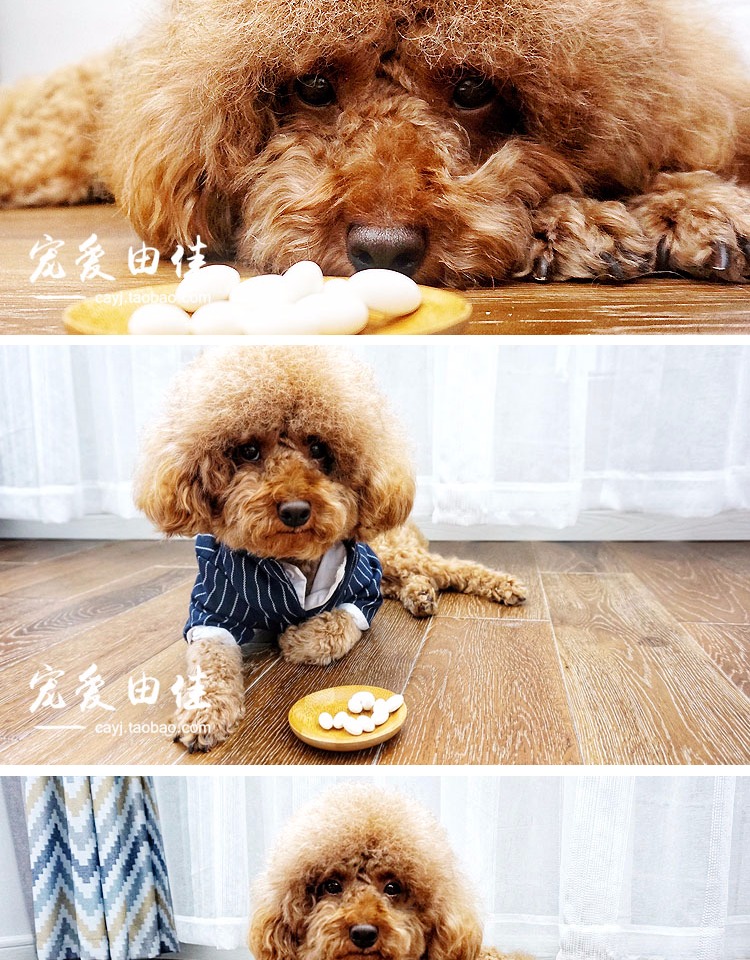 Dog dê sữa canxi máy tính bảng con chó xương sửa chữa canxi taidijinmao con chó trưởng thành pet dog sức khỏe sản phẩm dinh dưỡng Sữa bột cho chó con mới đẻ
