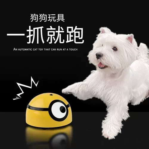 Игрушка для игрушек, кусание, золотисто -ретривер, домашние корги Большой и маленькие щенки Shiba inu Electric Altructing Artifact Cat