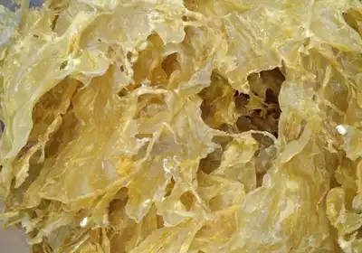 Gumor fish belly seafood fish belly open fish belly thick fish belly oil hair fish belly 500g hotel ingredients