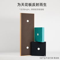 Simple Sound Recording Studio Music Studio Listening Room Ceiling Sound-Absorbing Panel Acoustic Module