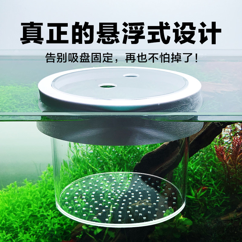 Suspension isolation box Acrylic fish tank isolation box feeding box spawner fish egg isolation net three lakes special shape