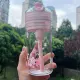 500 мл Sakura Contigo без коробки