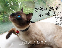 NEKO Home-Little Elves-Original Handmade Cute Amazing Baby Pet Kitty Dog Bells Bell Leather Collar Trinkets