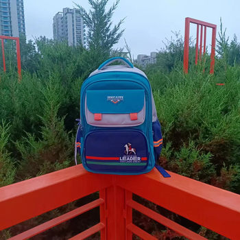 Jincaizi School Bag, Portable and Lightweight, Durable, New Korean Style, Comfortable and Burden-Reducing, Suitable for Grades 2-5, 8638