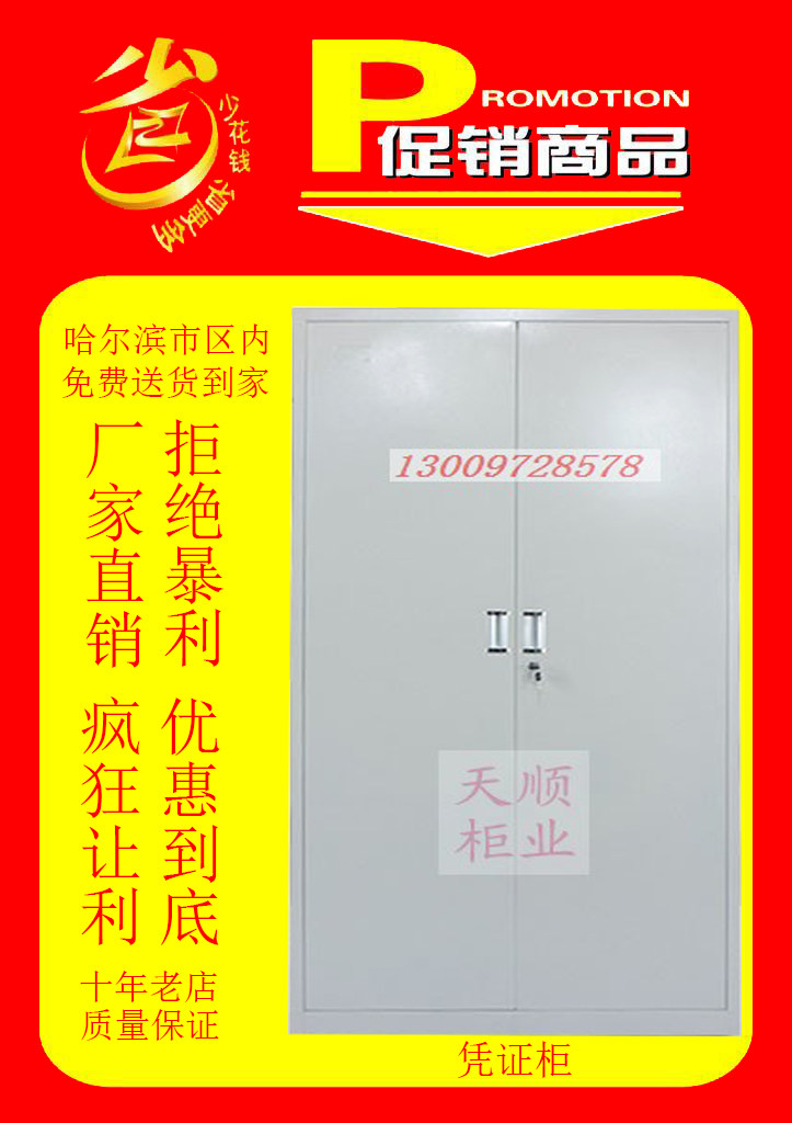 Voucher cabinet - (iron cabinet-reeling cabinet-storage-containing-information-manufacturer direct) 