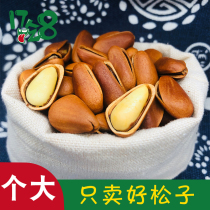Special products Northeast red pine nuts hand-peeled wild Daxinganling bulk large granules net weight opening nuts 500g