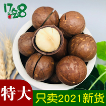 Extra-large macadamia creamy snacks 2 canned large pellet milk scented macadamia nut delivery opener