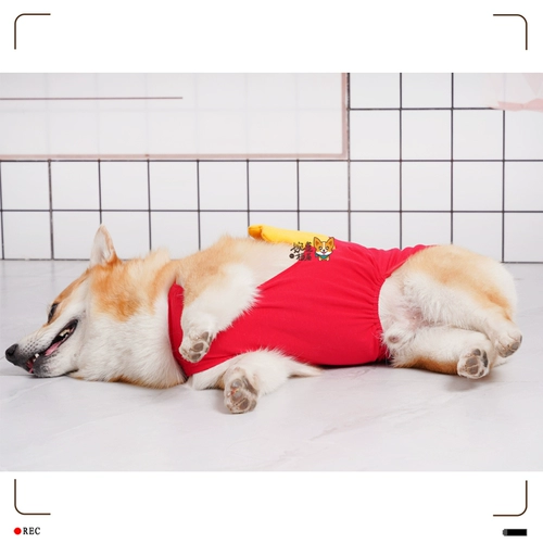 Ван -Вэлли Корки Француз Француз Француз французский французский французский французский цвет