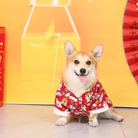 Wangfu Dog Red Brother