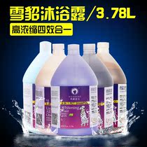 American Ferret Mink Oil Shampoo 3780ml Large Barrel Snowy Mink Pet Store Exclusive Bathing Aroma Wave Multiple Efficacy