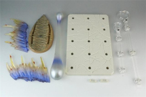 Dragon Ball Dragon Ball super shf Shalu Monkey King Turtle faction Qigong Turtle wave special effects pieces Kamen Rider