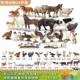 24 куска животных ранчо с 物 (отправить стул хранения)